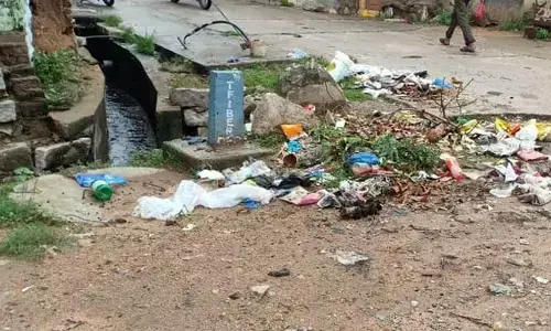 Sanitation : పడకేసిన ప్రత్యేక పాలన.. సమస్యల వలయంలో పల్లెలు