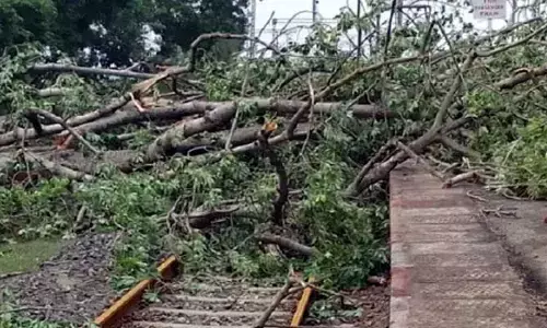 అల్లూరి జిల్లాలో భారీ వర్షం.. రైల్వే ట్రాక్‌పై కూలిన చెట్టు