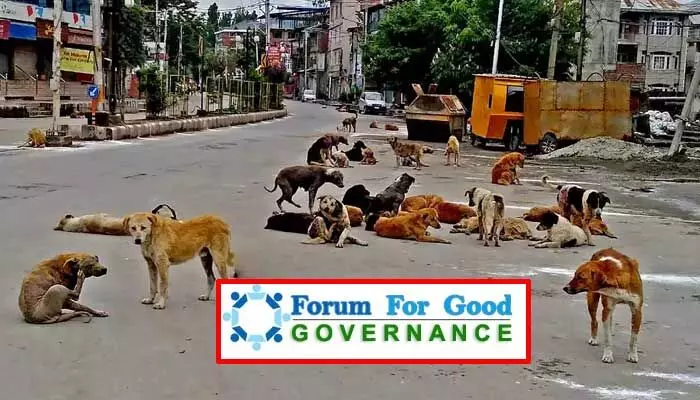 వీధి కుక్కల దాడుల సమస్యలను పరిష్కరించాలి: ఫోరం ఫర్ గుడ్ గవర్నెన్స్ లేఖ వీధి కుక్కల దాడుల సమస్యలను పరిష్కరించాలి: ఫోరం ఫర్ గుడ్ గవర్నెన్స్ లేఖ