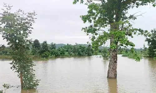 Flood : ప్రాణహిత పరవళ్లు..  నీట మునిగిన వేలాది ఎకరాల పంట పొలాలు