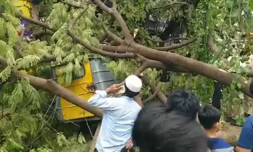 terrible accident : ప్రధాన రహదారిలో నేలకొరిగిన భారీ వృక్షం..