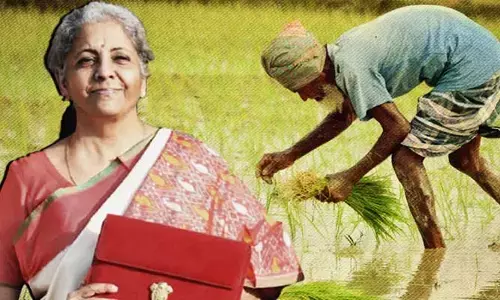 Union Budget 2024: కేంద్ర బడ్జెట్‌లో రైతులకు గుడ్ న్యూస్