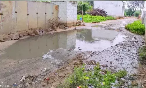 Collector : కలెక్టర్ సారు మా గోస చూసి వెళ్ళండి...!
