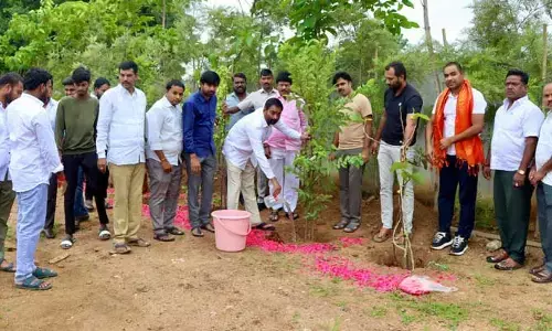 పచ్చదనం పర్యావరణ హితం : శంభీపూర్ రాజు