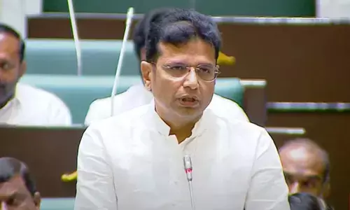 Sridhar Babu: తెలంగాణపై కేంద్రం సవితి తల్లి ప్రేమ.. సభలో శ్రీధర్ బాబు