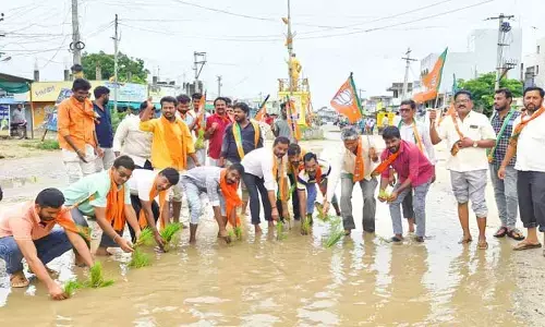 BJP leaders : వరి నాట్లు వేసి బీజేపీ నాయకుల నిరసన...