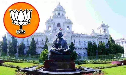 Assembly : శాసన సభ నుంచి బీజేపీ ఎమ్మెల్యేలు వాకౌట్