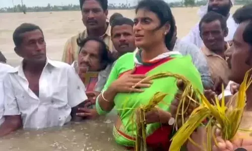 YS Sharmila:నడుం లోతు నీళ్లలో షర్మిల..రైతులను ఆదుకోవాలని వినతి