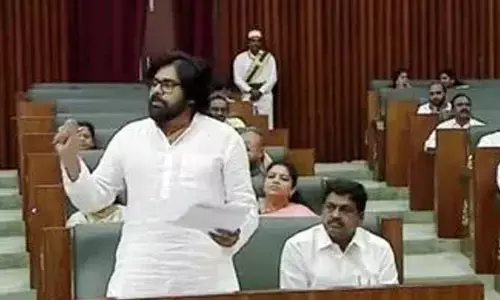 Pawan Kalyan:అసెంబ్లీలో అధికారులపై డిప్యూటీ సీఎం పవన్ ఫైర్..కారణం ఏంటంటే?