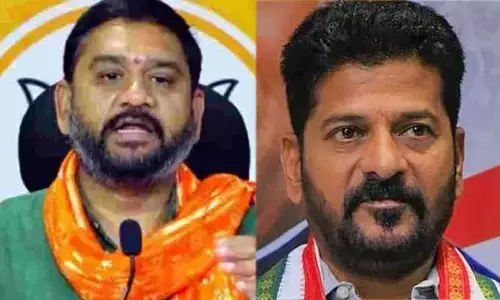 TS Assembly : CM రేవంత్‌కు బీజేపీ ఎమ్మెల్యే హరీష్ బాబు సవాల్