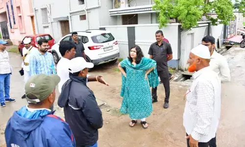 Collector Vijayendira : కుక్కలకు కుటుంబ నియంత్రణ శస్త్ర చికిత్సలు నిర్వహించండి..