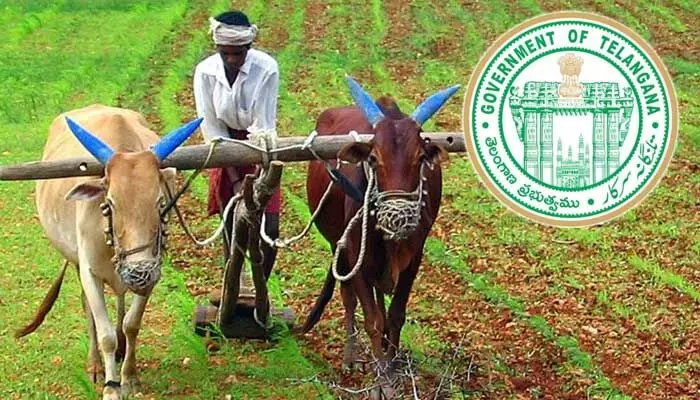 TG Budget-2024 : రైతులకు గుడ్ న్యూస్.. ఆ పంటకు బోనస్పై కాంగ్రెస్ సర్కారు కీలక ప్రకటన TG Budget-2024 : రైతులకు గుడ్ న్యూస్.. ఆ పంటకు బోనస్పై కాంగ్రెస్ సర్కారు కీలక ప్రకటన