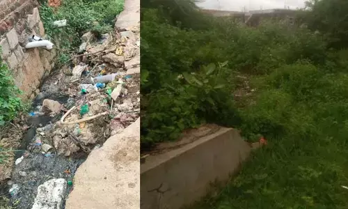 Sanitation:మురికి కూపాలుగా మారుతున్న కాలనీలు..చోద్యం చూస్తున్న గ్రామ పంచాయతీ అధికారులు