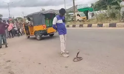 Viral Video : తాగిన మైకంలో నాగుపాముతో నాటకాలు.. దాంతో పెట్టుకుంటే మాములుగా ఉంటదా..