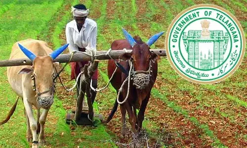 TG Budget-2024 : రైతులకు గుడ్ న్యూస్.. ఆ పంటకు బోనస్‌పై కాంగ్రెస్ సర్కారు కీలక ప్రకటన