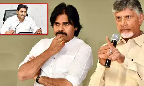 నాపై 17, పవన్‌పై 7 కేసులు పెట్టారు.. అసెంబ్లీలో  చంద్రబాబు ఫైర్