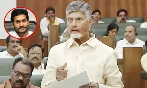 ఢిల్లీలో జగన్ ధర్నా.. అసెంబ్లీ వేదికగా చిట్టా విప్పిన చంద్రబాబు