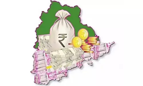 రైతు పంట పండించిన బడ్జెట్!