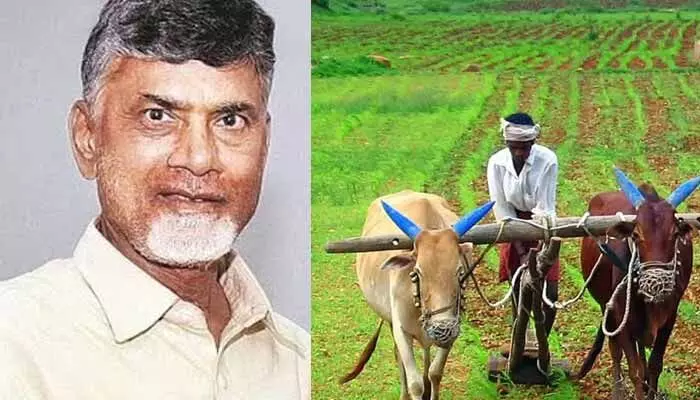 AP News:ఏపీ రైతులకు చంద్రబాబు సర్కార్ భారీ గుడ్ న్యూస్! AP News:ఏపీ రైతులకు చంద్రబాబు సర్కార్ భారీ గుడ్ న్యూస్!