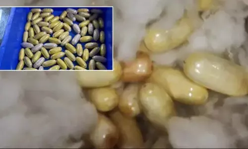Drug seized: ఢిల్లీ ఎయిర్‌పోర్టులో సీబీఐ తనిఖీలు.. భారీ ఎత్తున కొకైన్ స్వాధీనం