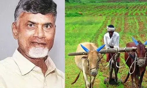 AP News:ఏపీ రైతులకు చంద్రబాబు సర్కార్ భారీ గుడ్ న్యూస్!