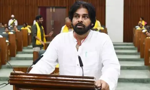 AP Assembly:పంచాయతీ రాజ్ శాఖపై శ్వేతపత్రం..అసెంబ్లీలో డిప్యూటీ సీఎం సంచలన ప్రకటన