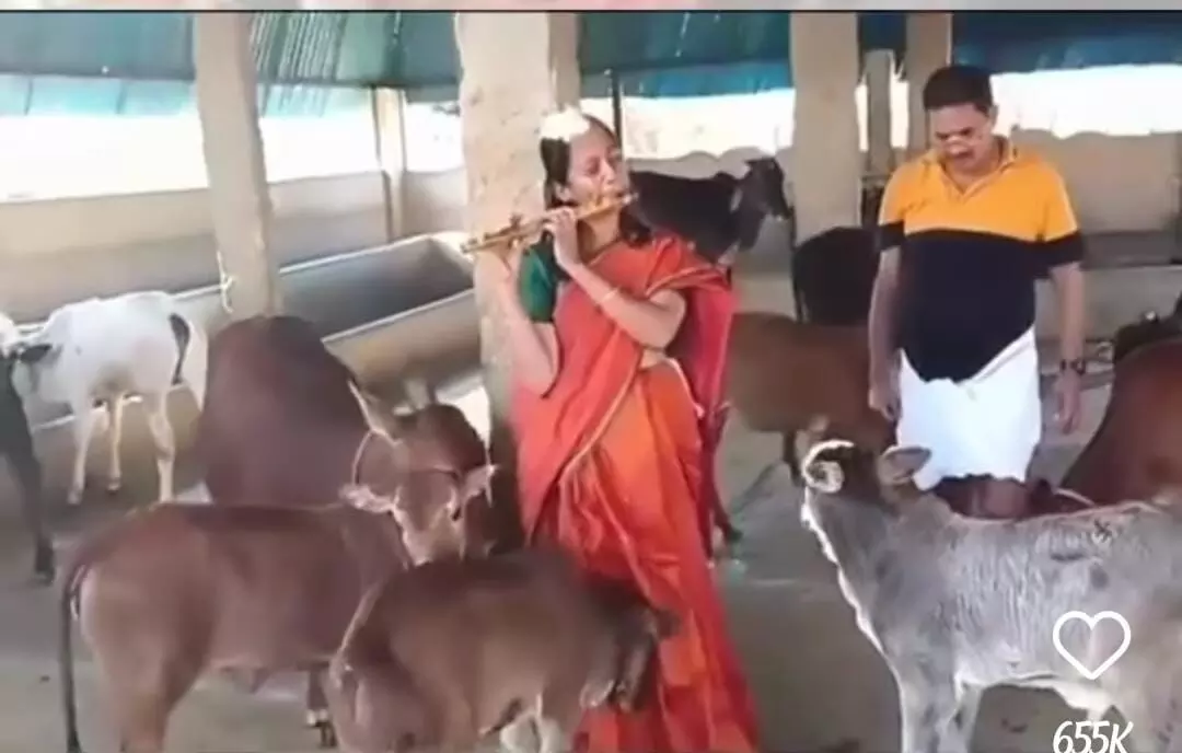 Jai Sri Krishna : ఆమె ఫ్లూట్ ఊదుతుంటే గోవులన్నీ పరుగెత్తుకు వస్తున్నాయి.. శ్రీ కృష్ణ మహాత్ముడి పిల్లనగ్రోవికి మైమరచినట్లుగానే... Jai Sri Krishna : ఆమె ఫ్లూట్ ఊదుతుంటే గోవులన్నీ పరుగెత్తుకు వస్తున్నాయి.. శ్రీ కృష్ణ మహాత్ముడి పిల్లనగ్రోవికి మైమరచినట్లుగానే...