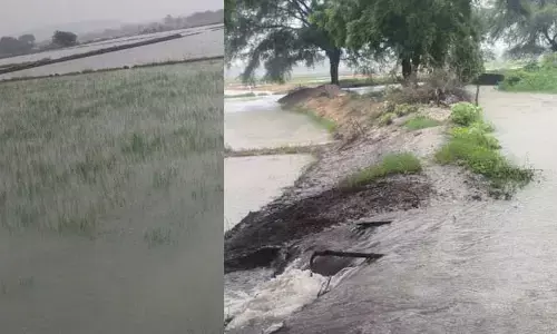Incessant rains : వరుణుడు ఇకనైనా కరుణించేనా..!