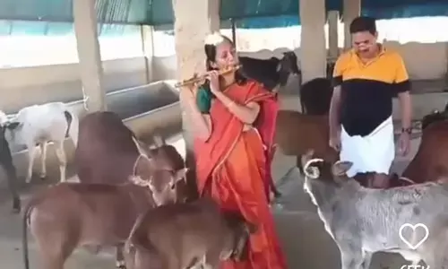 Jai Sri Krishna : ఆమె ఫ్లూట్ ఊదుతుంటే గోవులన్నీ పరుగెత్తుకు వస్తున్నాయి.. శ్రీ కృష్ణ మహాత్ముడి పిల్లనగ్రోవికి మైమరచినట్లుగానే...