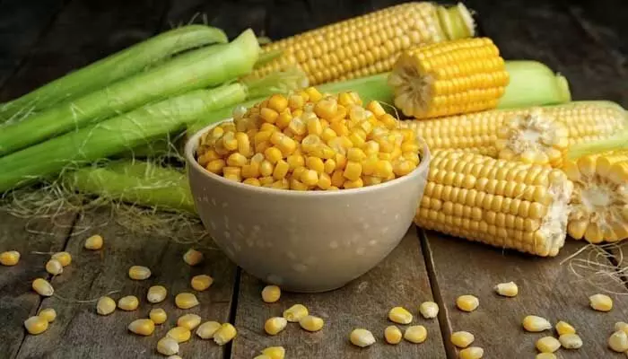 Weight Loss: స్వీట్ కార్న్ను ఇలా తీసుకుంటే.. బరువు ఇట్టే తగ్గిపోతారు.. Weight Loss: స్వీట్ కార్న్ను ఇలా తీసుకుంటే.. బరువు ఇట్టే తగ్గిపోతారు..