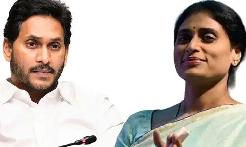 YS Sharmila : అసెంబ్లీకి పోకపోతే ఆఫ్రికా అడవులకు పోతారా.. జగన్‌పై షర్మిల మరో సంచలన ట్వీట్