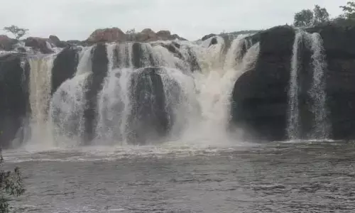 Bogatha Waterfalls : బోగ‌త జ‌ల‌పాతం వెళ్లే పర్యాటకులకు గుడ్ న్యూస్..