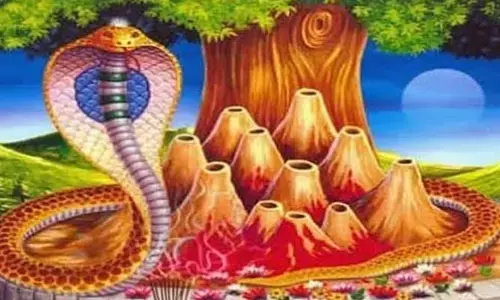 Naga Panchami : నాగ పంచమి రోజు చేయకూడని పనులు ఏవో తెలుసా?