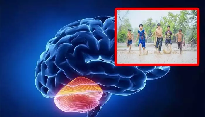 Rain effect: వర్షాకాలం పిల్లల్లో, వృద్ధుల్లో బ్రెయిన్ ఇన్ఫెక్షన్లు పెరుగుతాయా?ఆరోగ్య నిపుణులు ఏం చెబుతున్నారంటే? Rain effect: వర్షాకాలం పిల్లల్లో, వృద్ధుల్లో బ్రెయిన్ ఇన్ఫెక్షన్లు పెరుగుతాయా?ఆరోగ్య నిపుణులు ఏం చెబుతున్నారంటే?