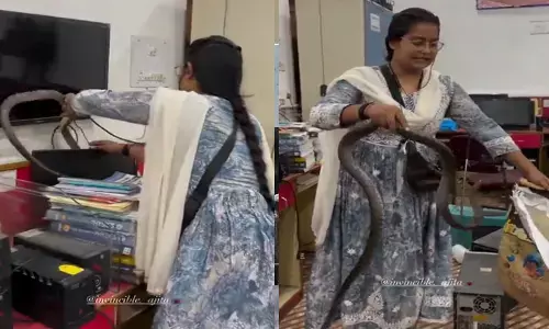 Viral: అంత పెద్ద పామును ఈజీగా పట్టేసింది.. మహిళ సాహసంపై ప్రశంసలు