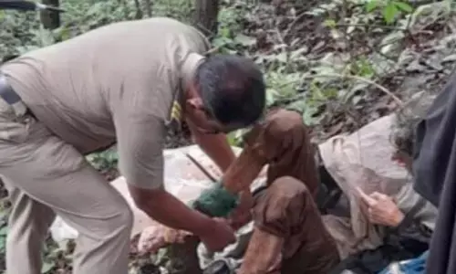 Woman Found Chained: అడవిలో గొలుసులతో బంధీగా మహిళ.. రక్షించిన గొర్రెల కాపరి
