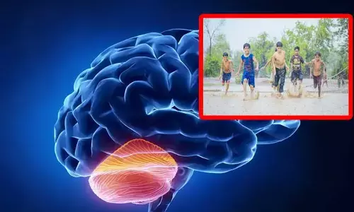 Rain effect: వర్షాకాలం పిల్లల్లో, వృద్ధుల్లో బ్రెయిన్ ఇన్ఫెక్షన్లు పెరుగుతాయా?ఆరోగ్య నిపుణులు ఏం చెబుతున్నారంటే?