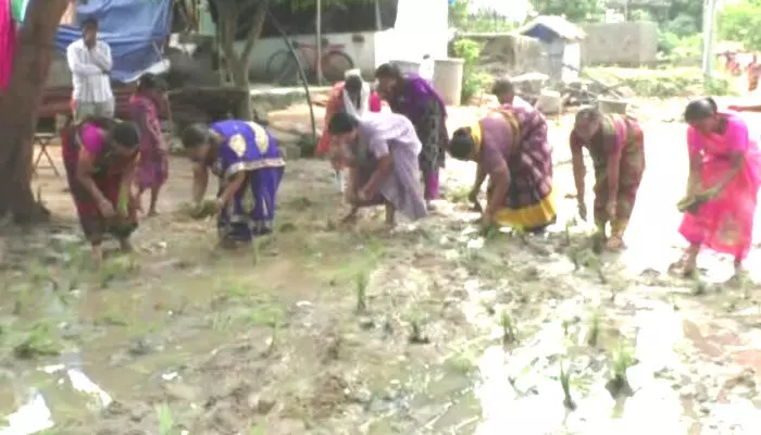 protest : రహదారిపై నాట్లు వేసి నిరసన protest : రహదారిపై నాట్లు వేసి నిరసన