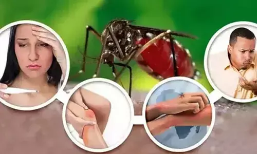 Dengue Symptoms: బీఅలర్ట్.. జ్వరంతో పాటు ఈ డేంజరస్ లక్షణాలు కనిపిస్తున్నాయా?