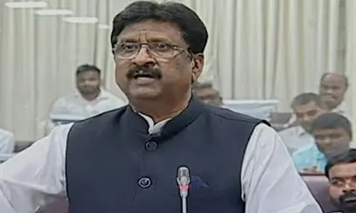 కుక్కలను చంపాలంటే చట్టం సరే.. మరి దోమలకు ఏమైంది..?