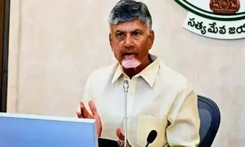 AP News:ఈ నెల 5న కలెక్టర్ల కాన్ఫరెన్స్..పలు కీలక అంశాలపై సీఎం చంద్రబాబు ఫోకస్