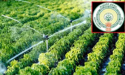 AP News:రైతులకు గుడ్ న్యూస్..సీఎం చంద్రబాబు కీలక నిర్ణయం