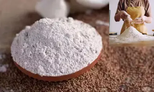 Ragi flour: పిండికి పురుగులు ఎందుకు పడతాయి?.. పట్టకుండా ఏం చేయాలి?