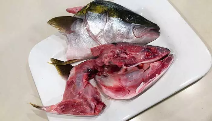 Fish Head: చేప తలకాయ తింటున్నారా?.. అయితే ఈ విషయాలు తప్పక తెలుసుకోవాల్సిందే! Fish Head: చేప తలకాయ తింటున్నారా?.. అయితే ఈ విషయాలు తప్పక తెలుసుకోవాల్సిందే!