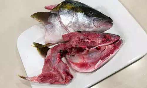 Fish Head: చేప తలకాయ తింటున్నారా?.. అయితే ఈ విషయాలు తప్పక తెలుసుకోవాల్సిందే!