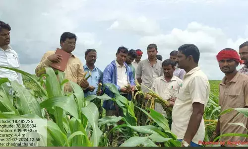 శాస్త్రవేత్తలు తీసుకెళ్లిన శాంపిల్స్ సంగతి ఏంటి సార్..