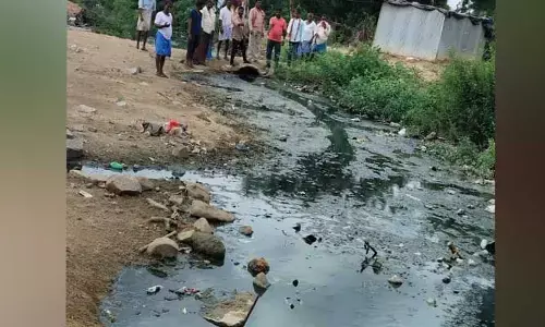roads : కల్వకోలులో పడకేసిన పారిశుధ్యం..