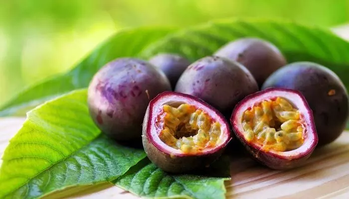 Passion Fruit: ఈ పండుతో ఆ సమస్యలకు సులభంగా చెక్ పెట్టొచ్చు Passion Fruit: ఈ పండుతో ఆ సమస్యలకు సులభంగా చెక్ పెట్టొచ్చు