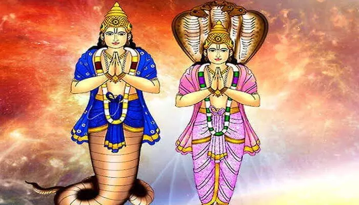 Rahu Ketu: జాతకంలో రాహు కేతువు బలంగా ఉండాలంటే శనివారం రోజున ఈ పనులు చేయండి Rahu Ketu: జాతకంలో రాహు కేతువు బలంగా ఉండాలంటే శనివారం రోజున ఈ పనులు చేయండి
