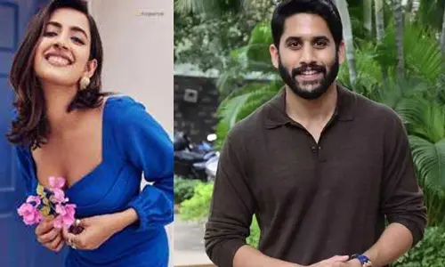Niharika : మెగా హీరోలను కాదని అక్కినేని హీరోను లైన్‌లో పెట్టిన నిహారిక.. మెగా డాటర్ కోసం చైతూ వస్తాడా మరి!